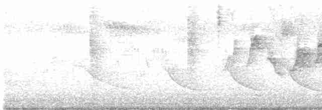 Common Yellowthroat - ML618723345