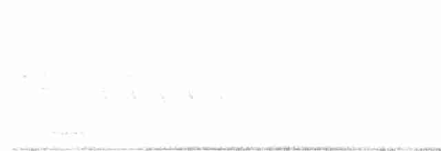 strakapoud osikový (ssp. gairdnerii/turati) - ML618723639