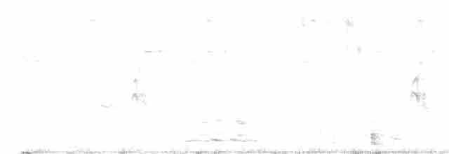 Тауї плямистий - ML618723910