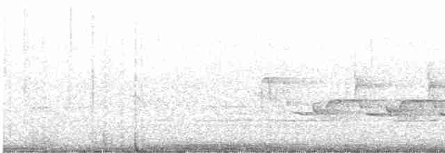 Каролинский крапивник - ML618724092
