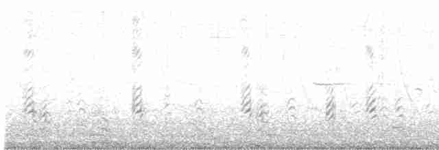 クロハサミアジサシ - ML618724141