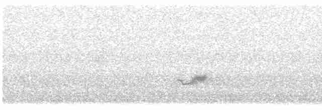 Kara Kanatlı Piranga - ML618724816