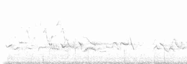 Cerulean Warbler - ML618724909
