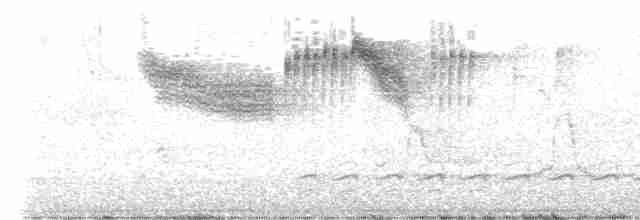 Lawrence's Warbler (hybrid) - ML618724990