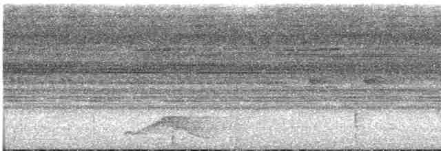 Pauraquenachtschwalbe - ML618725045