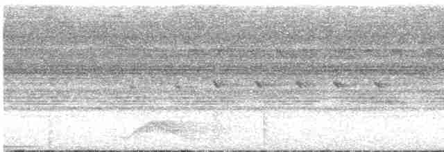 Pauraquenachtschwalbe - ML618725046