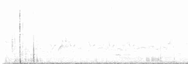 Canada Warbler - ML618726451