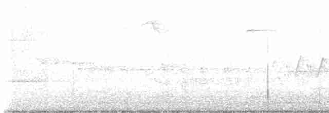 Cerulean Warbler - ML618726650