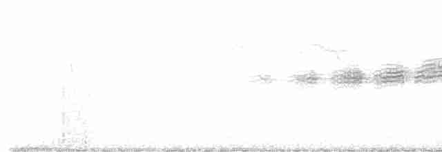 Prairie Warbler - ML618727883