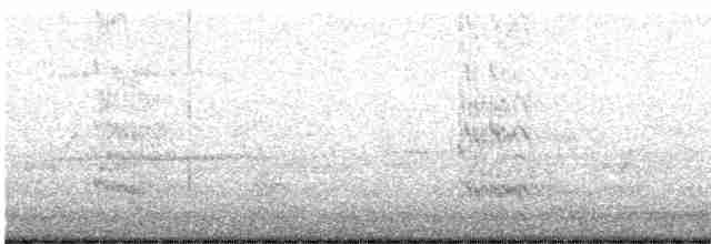 Royal Tern - ML618728713