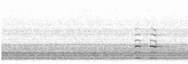Common Gallinule - ML618729708