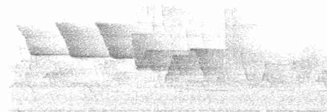 Трясогузковый певун - ML618729755