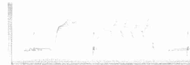 Western Grebe - ML618731018