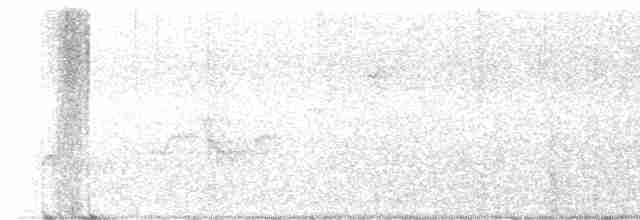 Дрізд-короткодзьоб Cвенсона - ML618731981