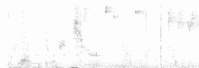Трясогузковый певун - ML618732162