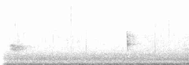 Kara Kanatlı Piranga - ML618732306