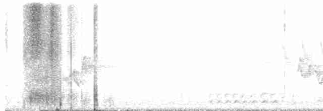 lesňáček černobílý - ML618732684