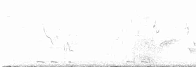 Кукліло чорнодзьобий - ML618732883