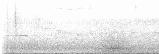 Чернокрылая пиранга - ML618733193