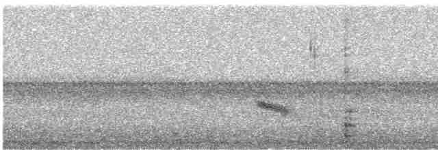 Дрізд-короткодзьоб малий - ML618733204