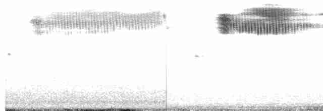 Кузнечиковая овсянка-барсучок - ML618733440