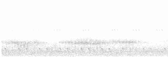 Red-necked Nightjar - ML618733450