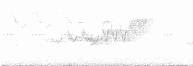 Cerulean Warbler - ML618733484