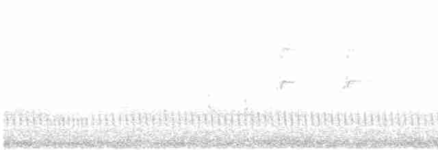 Eurasian Nightjar - ML618733504