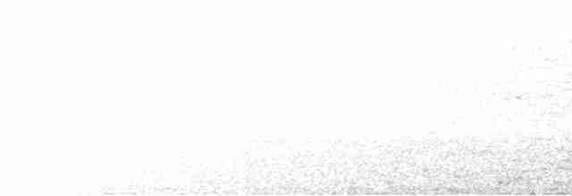 Красноголовая короткохвостка - ML618734414