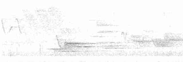 Cerulean Warbler - ML618735257