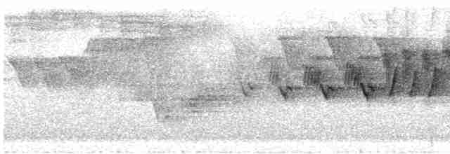 Cerulean Warbler - ML618735273