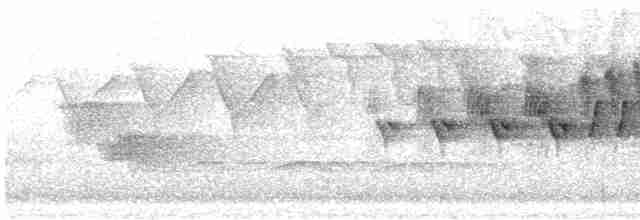 Cerulean Warbler - ML618735282