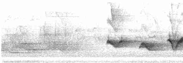 Чернокрылая пиранга - ML618735379