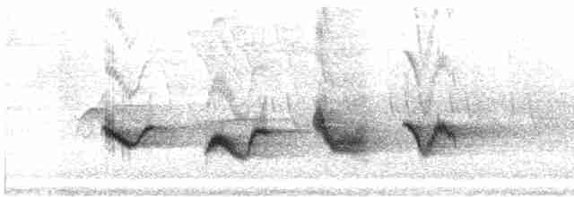 Чернокрылая пиранга - ML618735387