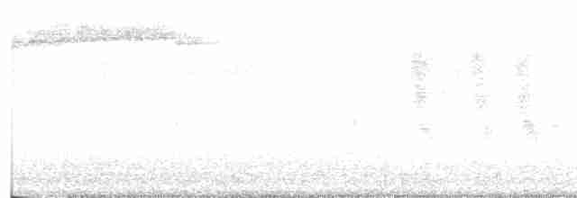 Blackpoll Warbler - ML618735434