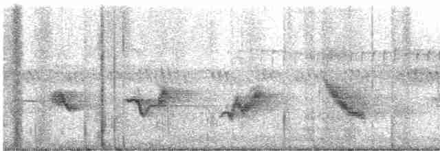 Чернокрылая пиранга - ML618735490