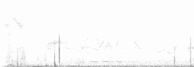 Black-billed Cuckoo - ML618735681