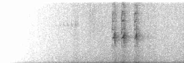 Al Kanatlı Karatavuk [phoeniceus grubu] - ML618736697