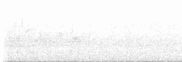Black-throated Gray Warbler - ML618736760