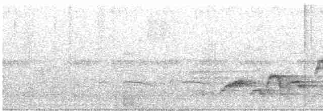 Дрізд-короткодзьоб Cвенсона - ML618737059