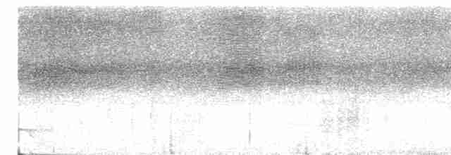 Ошейниковый трогон - ML618738233