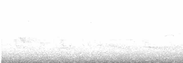 lesňáček černobílý - ML618738497