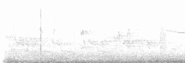 Hooded Warbler - ML618738969