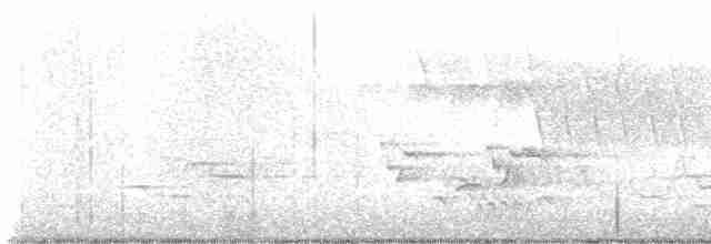 Hooded Warbler - ML618739641