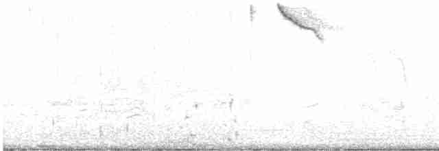 Brown-headed Cowbird - ML618739993