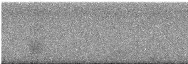Сова плямиста (підвид lucida) - ML618742250