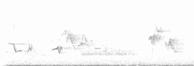 Cerulean Warbler - ML618742421