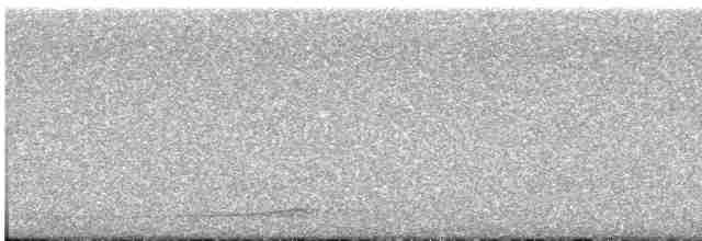 Сова плямиста (підвид lucida) - ML618742597