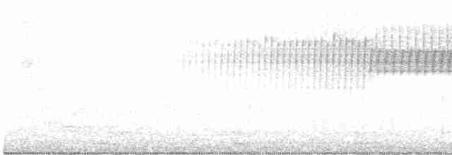 Paruline vermivore - ML618745179