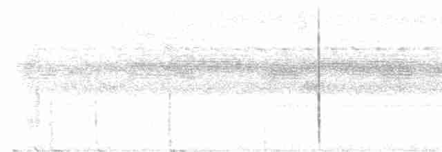 Buff-collared Nightjar - ML618745539